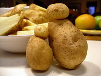 земляные яблоки или соблазн картошкой